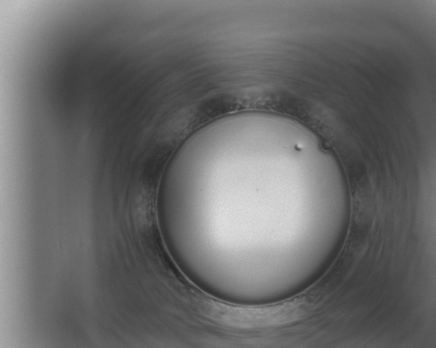 X0000064050034200602031635