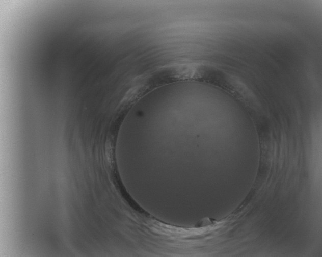 X0000064050035200602031635