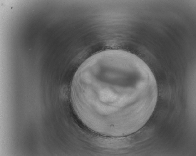 X0000064050036200602031635