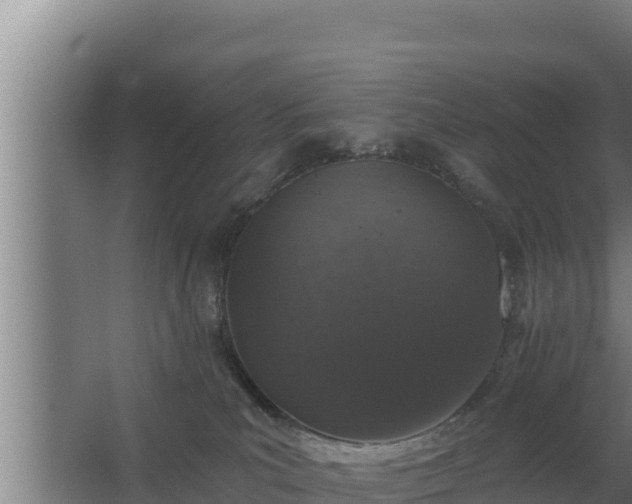 X0000064050039200602031635