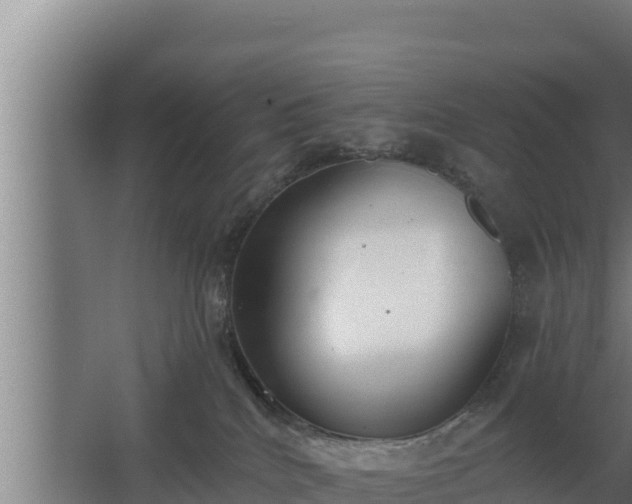 X0000064050040200602031635