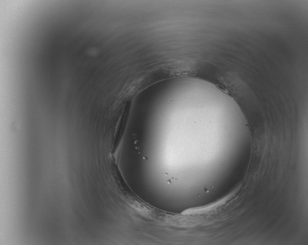 X0000064050041200602031635