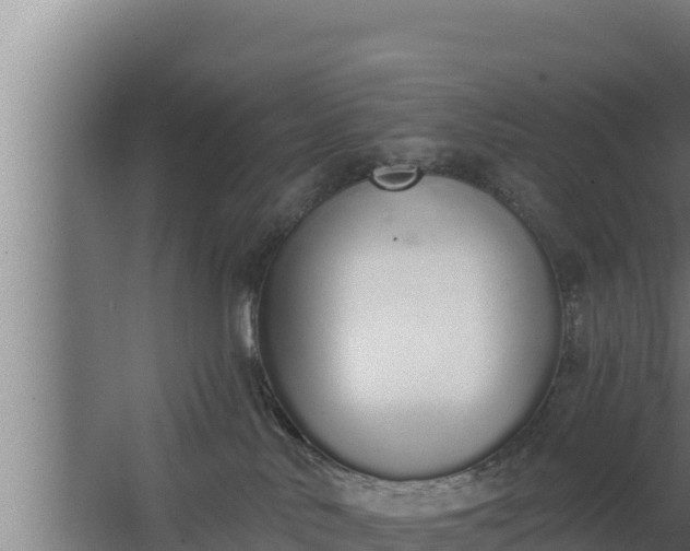 X0000064050042200602031635