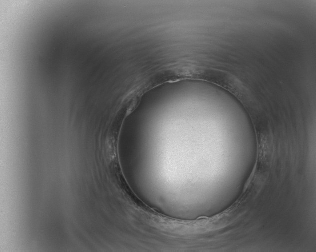 X0000064050043200602031635