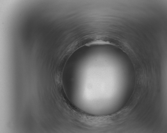 X0000064050044200602031635