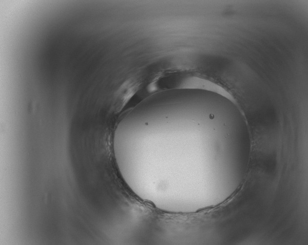 X0000064050045200602031635