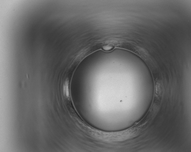 X0000064050046200602031635