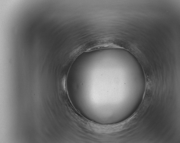 X0000064050047200602031635