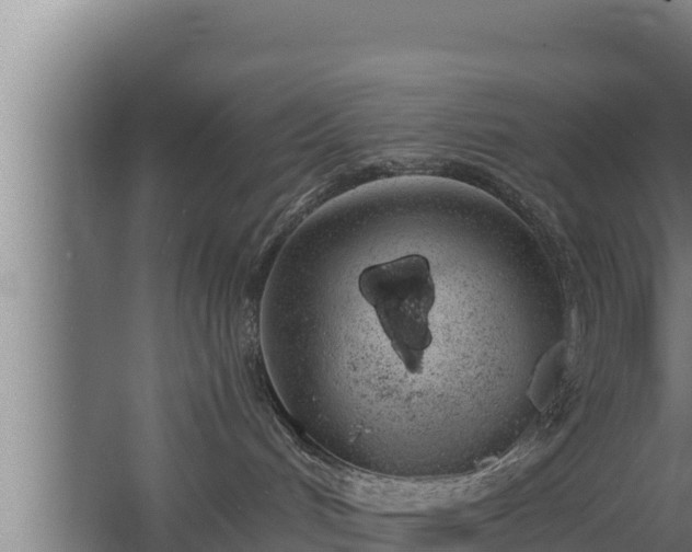 X0000064050048200602031635