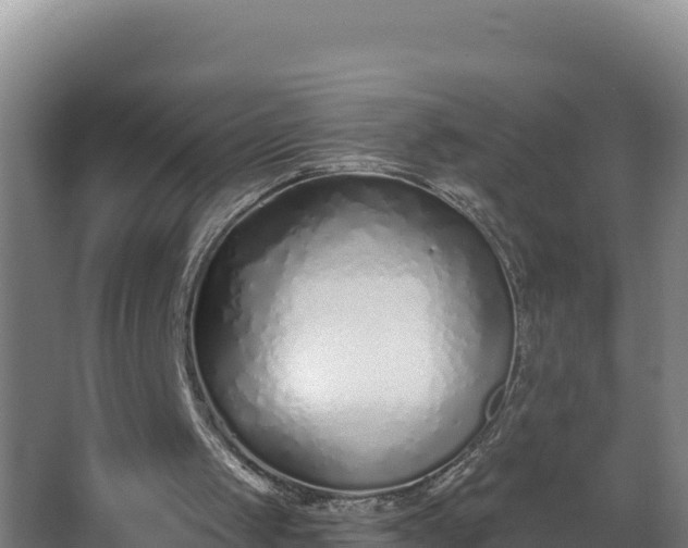 X0000064050049200602031634