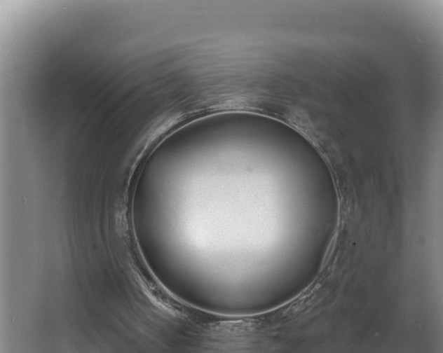 X0000064050050200602031634