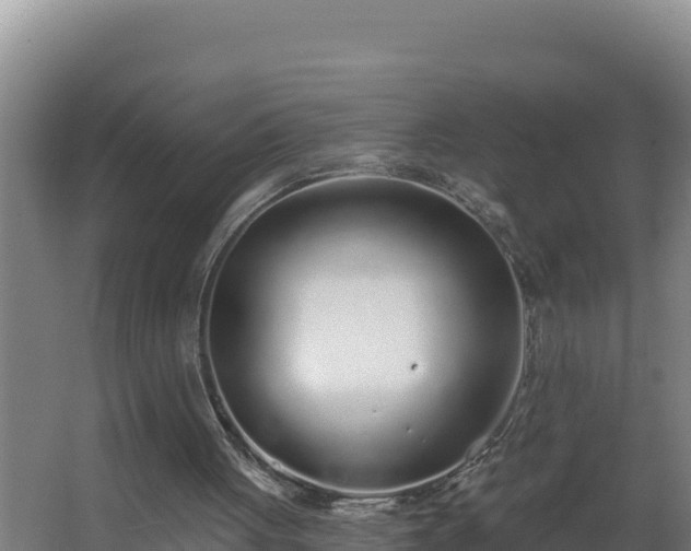 X0000064050051200602031634