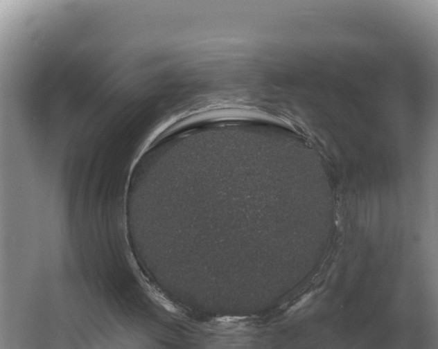 X0000064050052200602031634