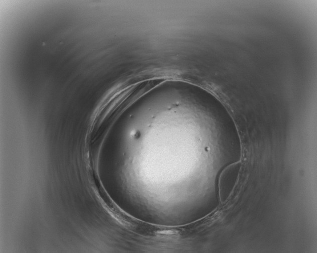 X0000064050053200602031634