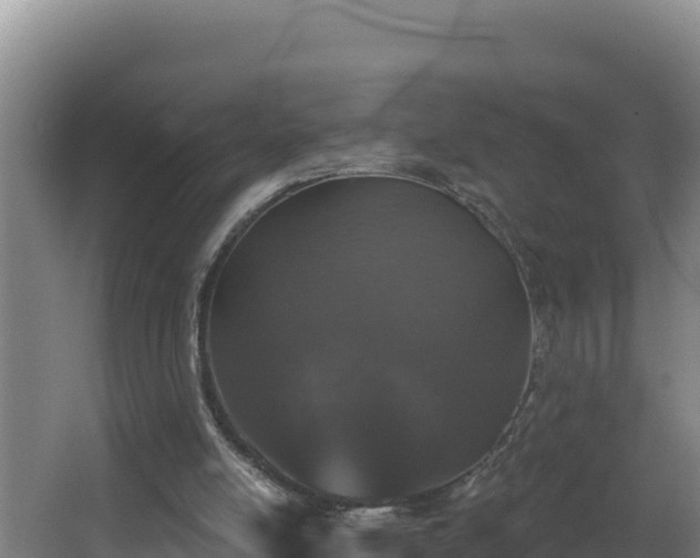 X0000064050054200602031634