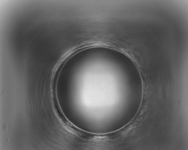 X0000064050055200602031634