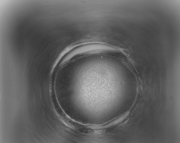 X0000064050056200602031634