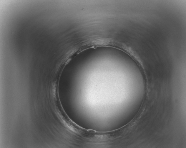 X0000064050057200602031634