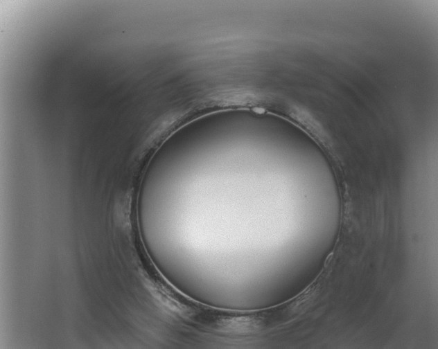 X0000064050058200602031634