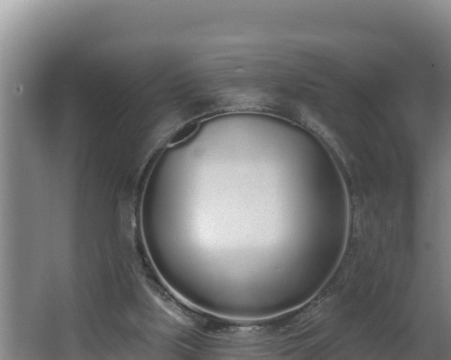 X0000064050059200602031634