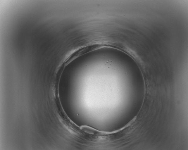 X0000064050060200602031634