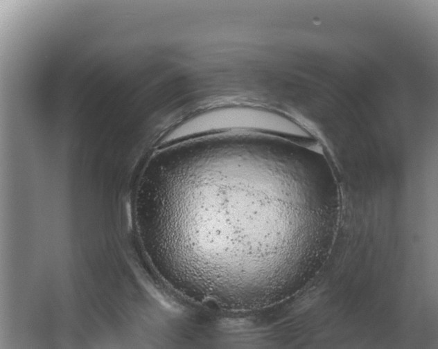 X0000064050061200602031634