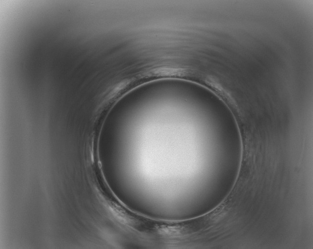 X0000064050062200602031634