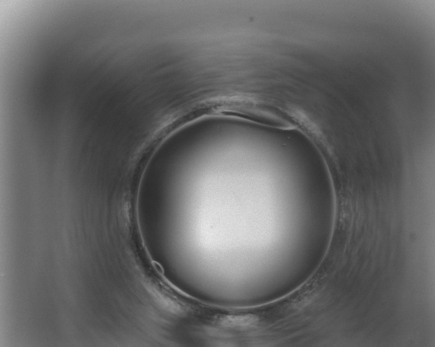 X0000064050063200602031634