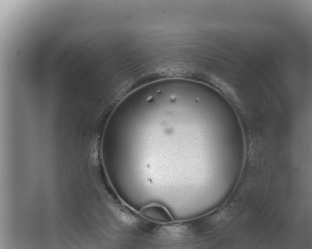 X0000064050065200602031634