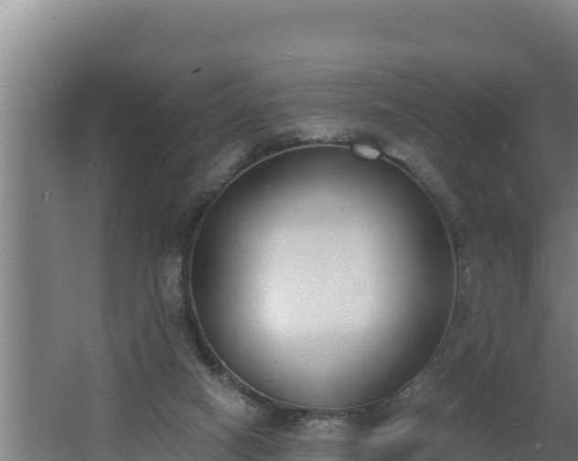 X0000064050066200602031634