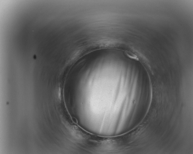 X0000064050067200602031634