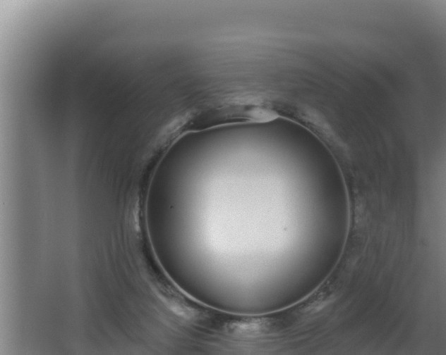 X0000064050068200602031634