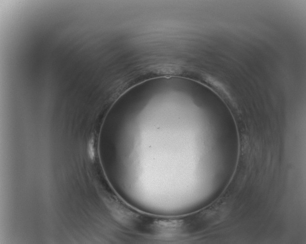 X0000064050069200602031634