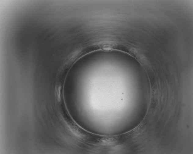 X0000064050070200602031634