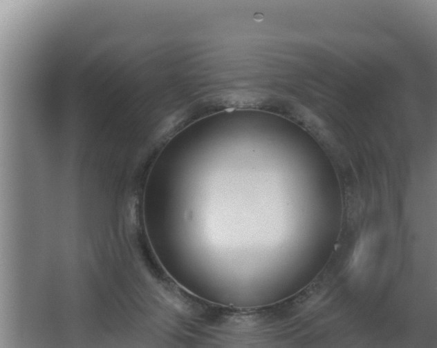 X0000064050071200602031634