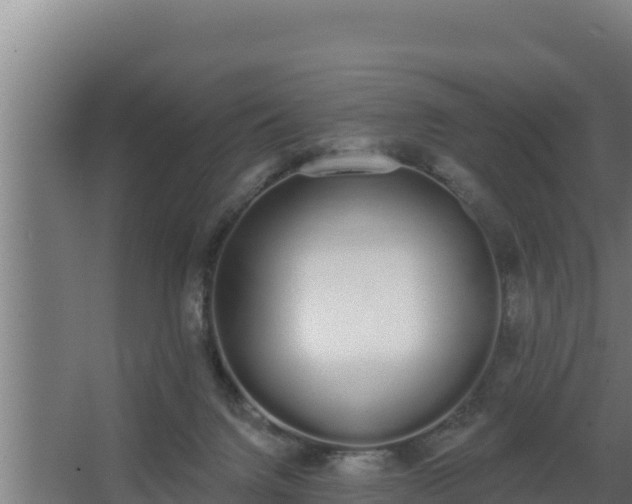 X0000064050072200602031634