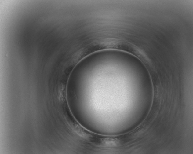 X0000064050073200602031634