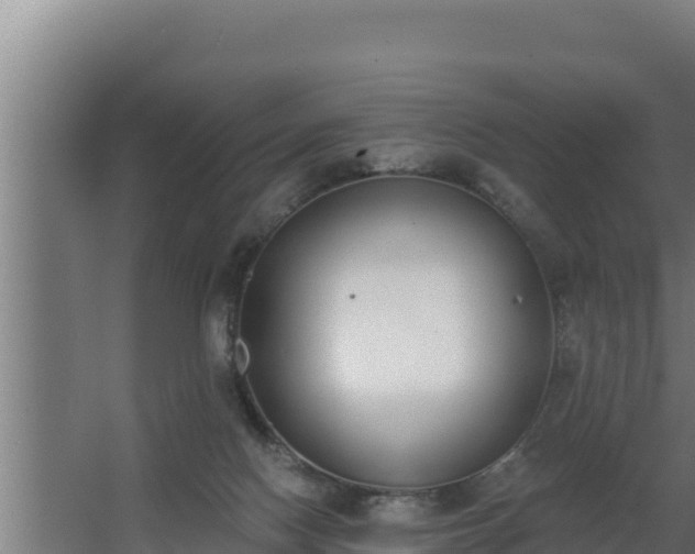 X0000064050074200602031634