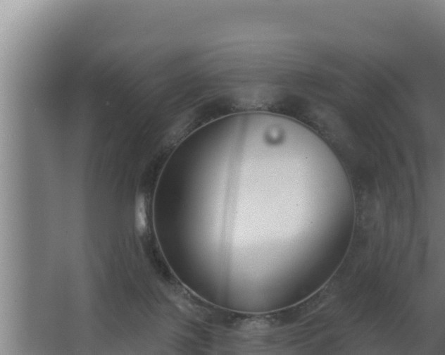 X0000064050075200602031634