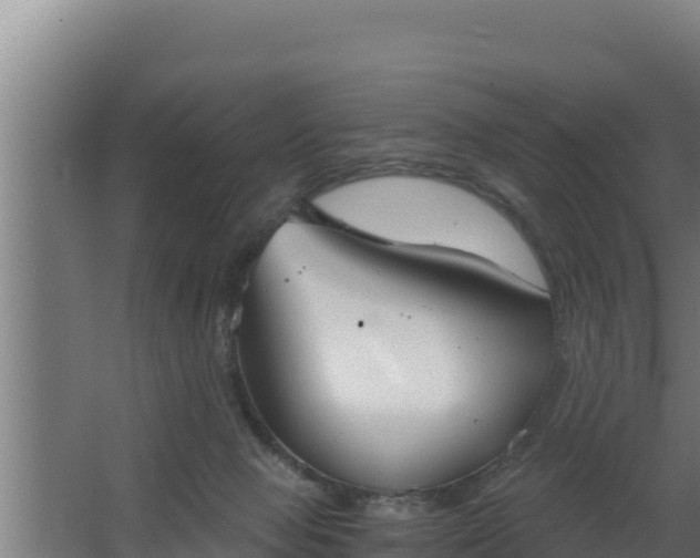 X0000064050077200602031634