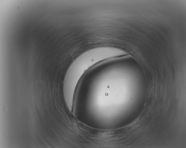 X0000064050078200602031634