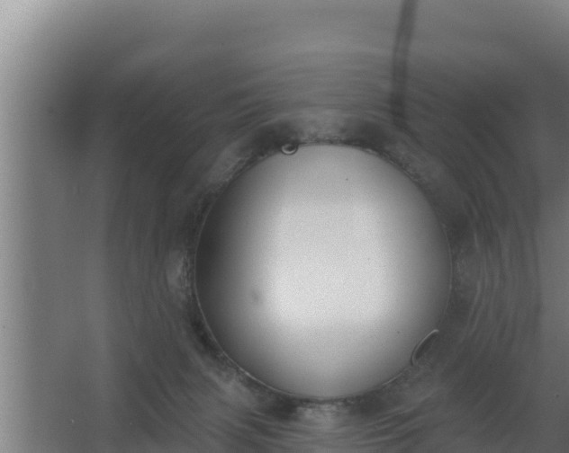 X0000064050079200602031634