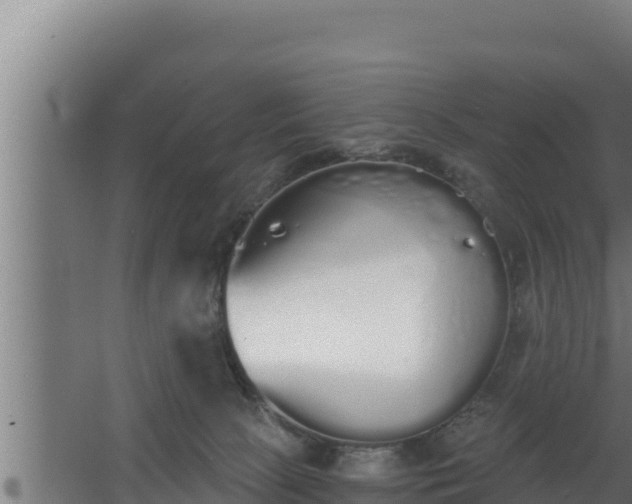 X0000064050081200602031634