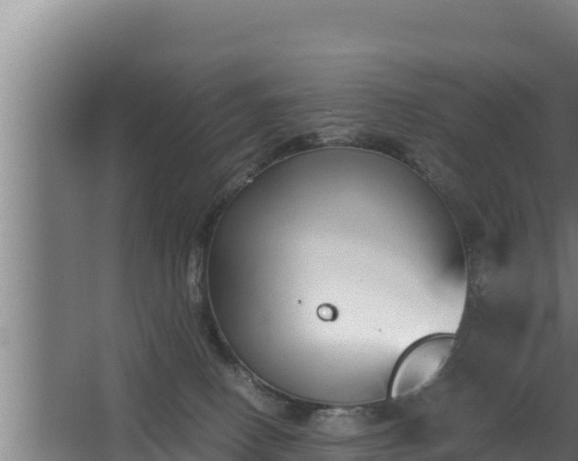 X0000064050082200602031634