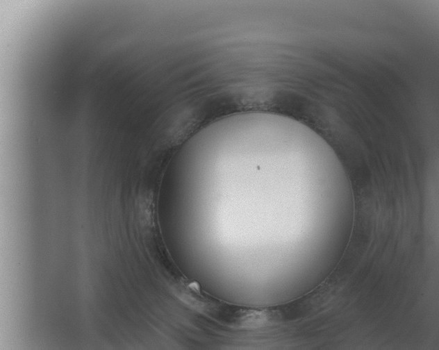 X0000064050083200602031634