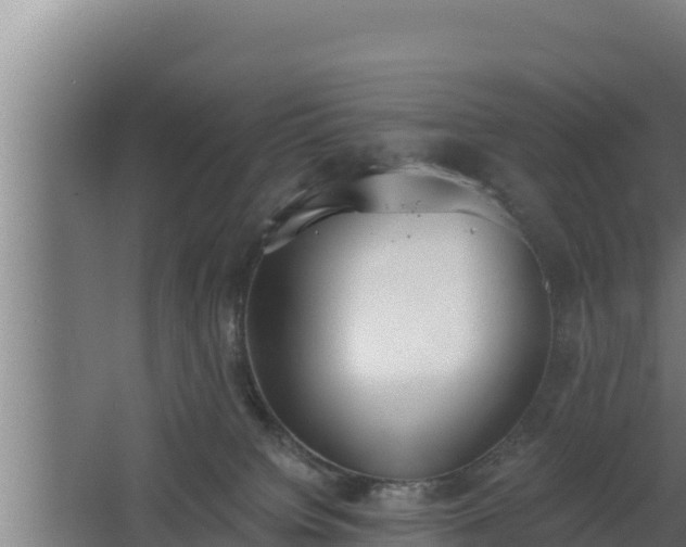 X0000064050084200602031634