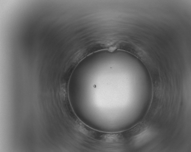 X0000064050085200602031634