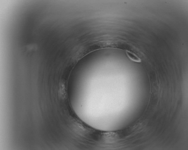 X0000064050087200602031634