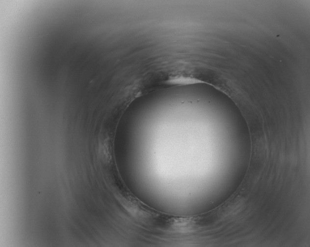 X0000064050088200602031634