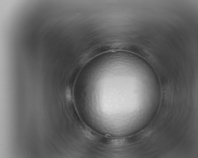 X0000064050089200602031634